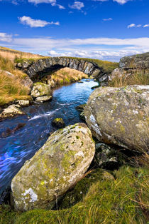 the sheep bridge by meirion matthias