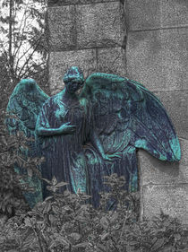 weeping angel von Stephan Berzau