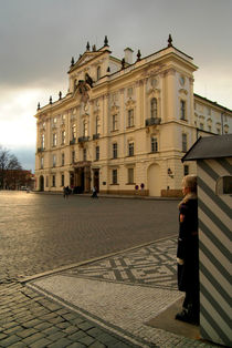 Guarding Prague Castle by serenityphotography