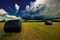 wrapped bales von meirion matthias