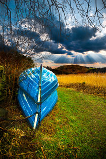 rowing boats in hibernation von meirion matthias