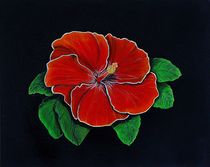 Acrylbild Hibiscus von Anke Franikowski