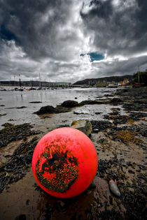 barnacles on my bottom by meirion matthias