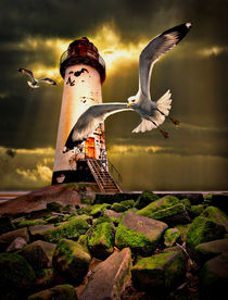 Talacre lighthouse with seagulls by meirion matthias