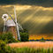 Windmill-and-beams