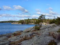 Ingarö Island 2 in colour  von Sarah Osterman