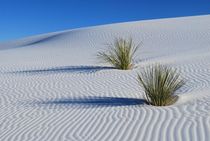 White Dunes II by usaexplorer