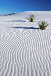 White Dunes by usaexplorer