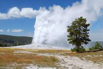 Old Faithful by usaexplorer