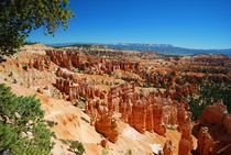 Bryce Canyon NP von usaexplorer