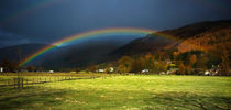 cumbrian pot of gold by meirion matthias