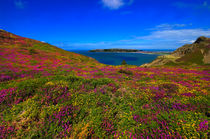 llandudno and the great orme von meirion matthias