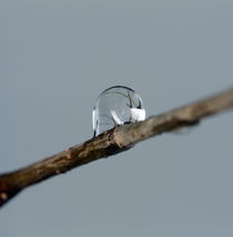 Wassertropfen von jaybe