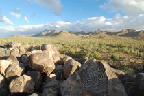 Arizona - Saguaro NP von usaexplorer