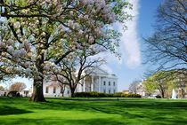 White House - Washington DC von usaexplorer