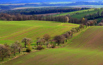 Sanfte Hügellandschaft im Frühling by Wolfgang Dufner