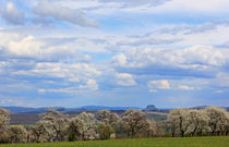 Frühlingslandschaft von Wolfgang Dufner