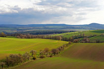 Natur pur von Wolfgang Dufner