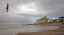 Criccieth Castle von sandra cockayne