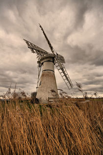 Thurne Mill. von sandra cockayne