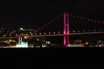 Bosphorus Bridge von Evren Kalinbacak