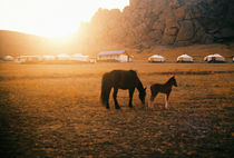 sunset in mongolia by Giorgio Giussani