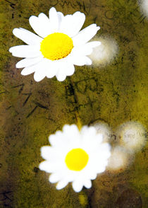 Blumen Kunst Bild von Falko Follert