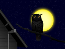 owl in the night von Miro Kovacevic