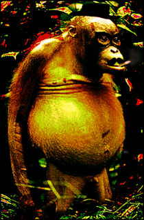 Monkey Man von Yuri Rodrigues de Oliveira