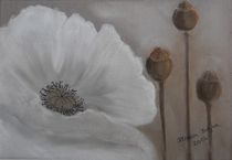 Weiße Mohnblüte von Marion Kotyba