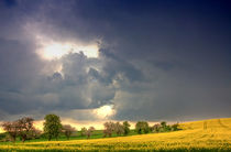 Frühling von Wolfgang Dufner