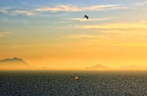 Sailing the Windy Sea by JACINTO TEE