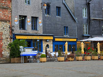 Honfleur, The Fishing Cat by Louise Heusinkveld