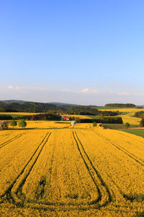 Natur pur von Wolfgang Dufner