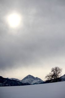 Bavarian Alps von Bianca Baker