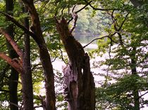 Anblick - Durchblick by Heidrun Carola Herrmann