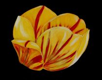 Acrylbild Tulpe, gelb/rot von Anke Franikowski