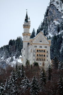 Schloss Neuschwanstein von Bianca Baker