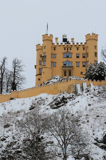 Hohenschwangau / Neuschwanstein II von Bianca Baker