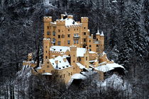 Hohenschwangau / Neuschwanstein von Bianca Baker