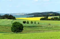 Frühsommerfarben von Franziska Rullert