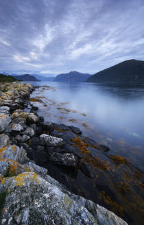 Norway - fjords at dusk by Horia Bogdan