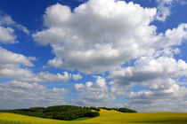 Frühlingslandschaft von Wolfgang Dufner