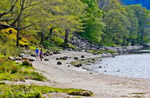 Loch Lubnaig, Stirlingshire by Buster Brown Photography