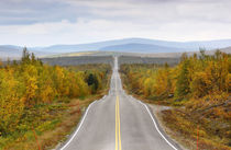 Finland - straight road through Lapland in autumn by Horia Bogdan