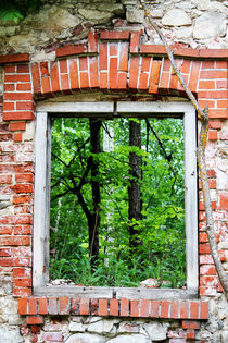 Green Window von Bianca Baker