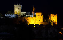 Bodrum Castle by Evren Kalinbacak