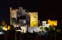 Bodrum Castle von Evren Kalinbacak