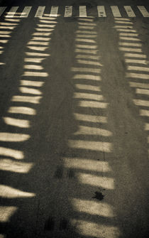 Reflections on empty street by Lars Hallstrom