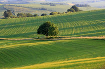 Sommerabend by Wolfgang Dufner